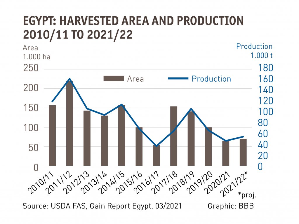 Egypt Increasing cotton production 2021/22 textile network