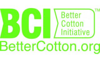 BCI-Green.jpg