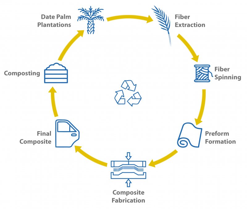 PalmFil - Potential of date palm fiber newly discovered | textile network