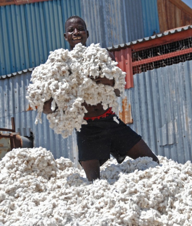 Baumwolle---Arbeiter-in-einer.jpg