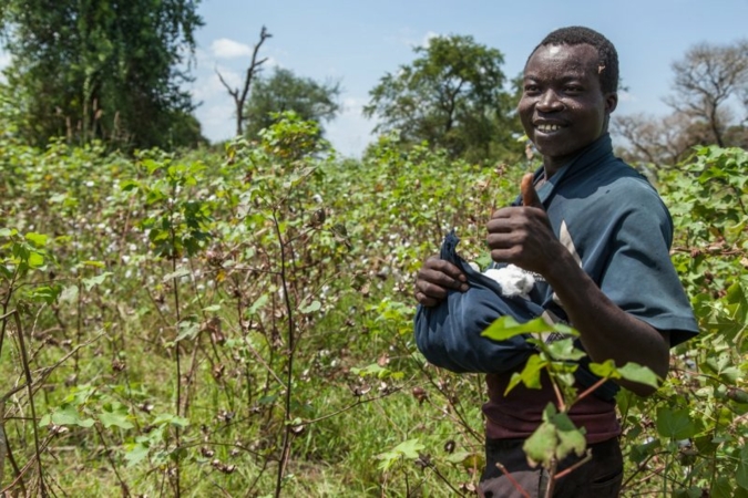 Cotonea-Uganda.jpg