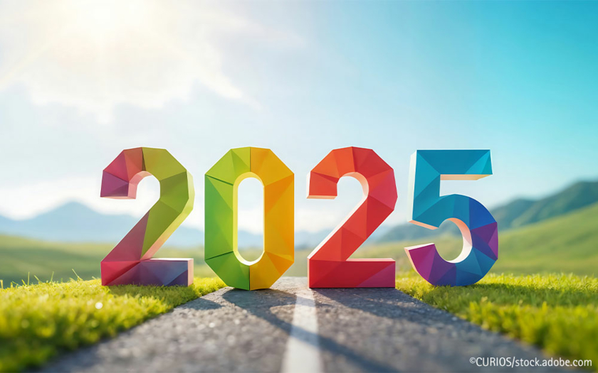 2025-Umfrage