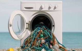Livinguard--Copyright-Livinguard-.png
