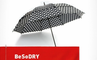 BeSo-Dry.jpg