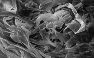 Immature-fiber-microscopic.jpg