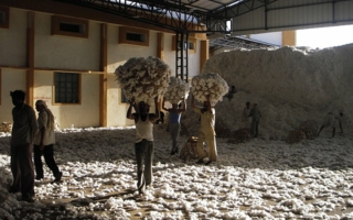 Indien---in-der-Gin-.jpg