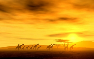 Afrika.jpg