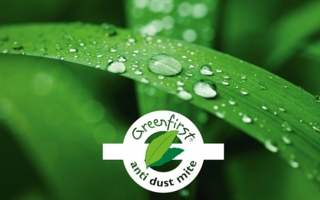 Greenfirst.jpg