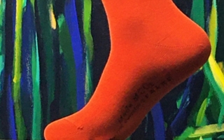 Falke--Socke-mit.jpg