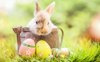 Frohe-Ostern-.jpeg
