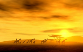 Africa is rising Photo: fotolia