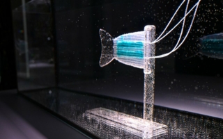 Biomimetische-Fischflosse-mit.jpg
