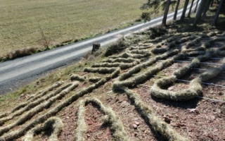 STFI_ProGeo_Bild 1