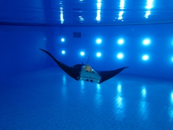 Mantarochen-EvoLogics-IZM.jpg