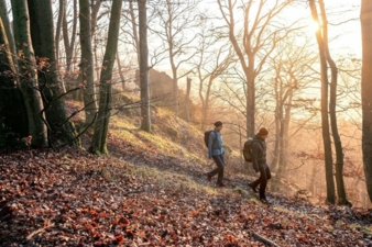 Vaude-Wandern-Wald.jpg