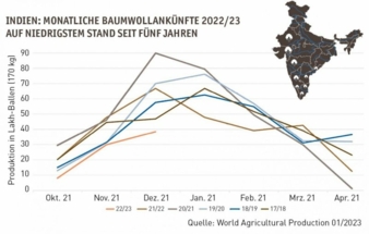 Baumwollankuenfte-202223.jpg