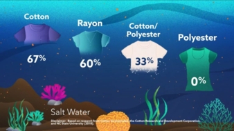 Cotton-Incorporated-Salt.jpg