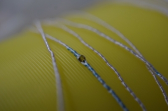 E-thread with LED on a sample spool Photo: STFI