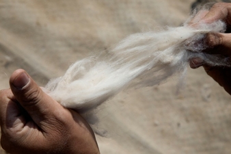 Die drei Volumenvliese aus Naturfaser von Freudenberg Performance Materials eignen sich vor allem zur Anwendung in exklusiven Outdoor- und Fashion-...