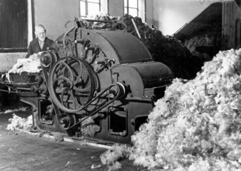 Steiner1888-Historie.jpg