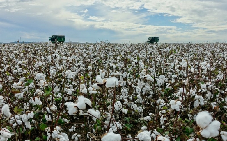 Pyratex launches new “0km” supply chain