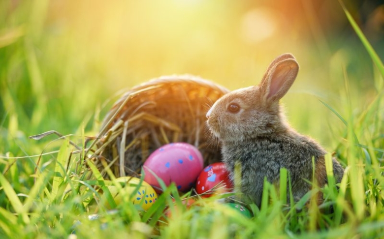 Sunny Easter greetings from the textile network team!