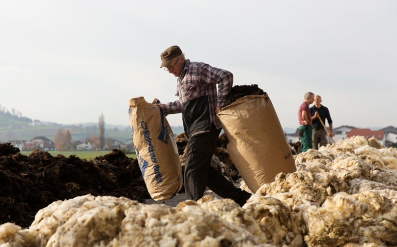 Swiss wool between potential and pressure